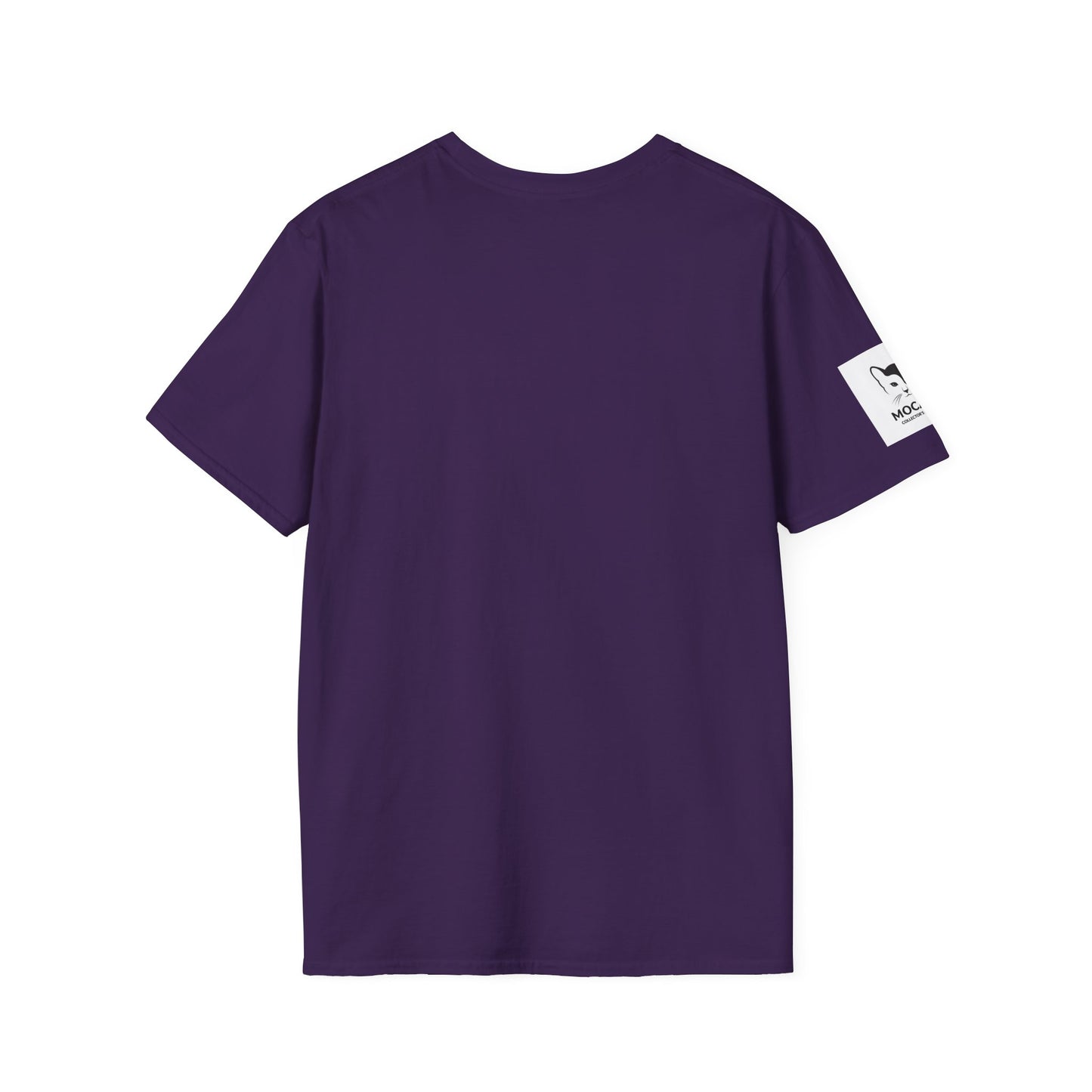 Fighter Jet Unisex Softstyle T-Shirt, Aviation Gift, Casual Wear, Travel Enthusiast Shirt, Perfect for Birthdays & Holidays